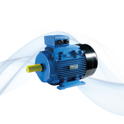 MS Three Phase Electric Motor