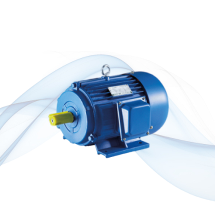 Y Series Three Phase Electric Motor